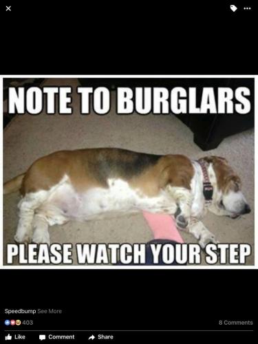 aa1f348538b1129dc06fa0a47e269c8a