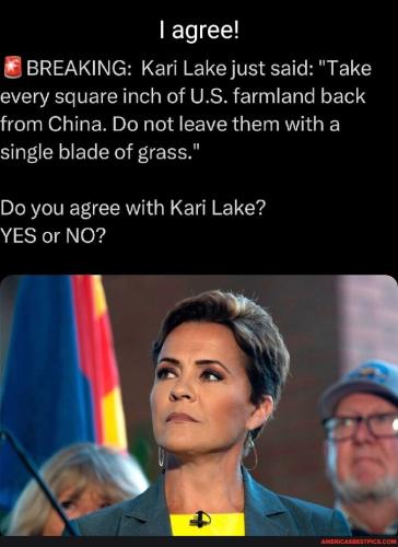 41fce5d487390ec01443299496d219d720c0936329c799c0936afdb766b50e96_1