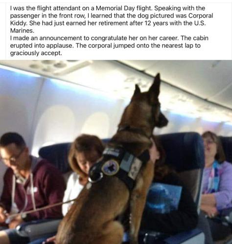 E2457A3F-F9F8-4E88-A7AB-34BD5F2767EC