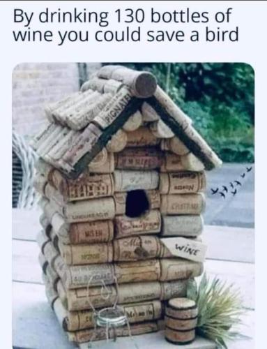 457564395_506806302052207_5408005925782203916_n