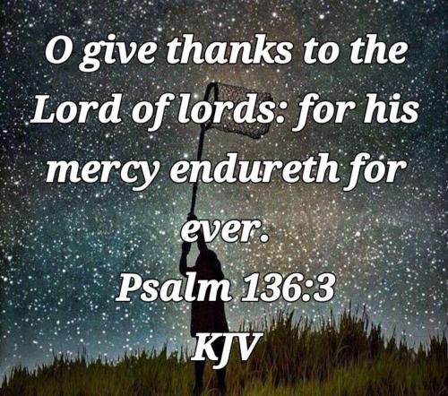 6e5b10d5-2a4b-456b-b6a9-bfb0ff3e27aa