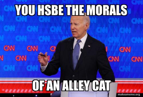 Biden to Trump You have the morals of an alley cat
