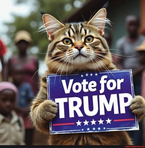 9e2c375ca987dbc19163e1a7e675ba51e6978ef3ee517b3a649d8210bd0208dd_1