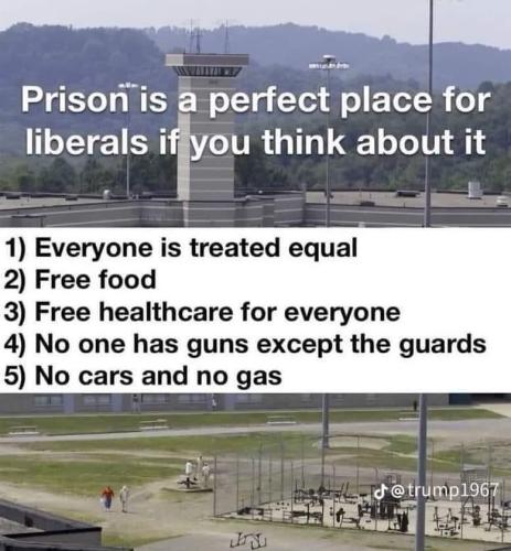 8bd35ea8-4003-45ce-8745-f61a4ecb8486