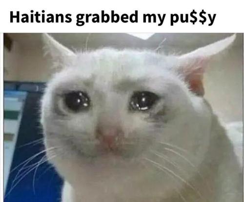 image_21EA65A4-815A-4EE3-BC4A-833ECC2E4DCC