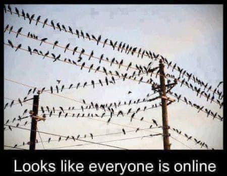 460581975_8935576633139235_4045850671403717662_n