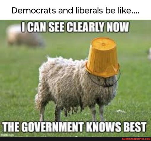 dabf8d7ef0e6f63637546685f2fe1dc28f991fc5522c41ca543a89a697b8e2bf_1