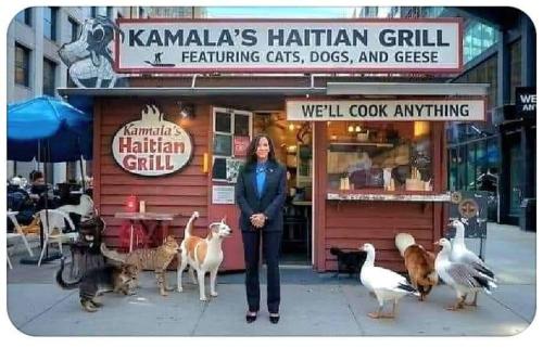 1e5bb30f-17a2-4c93-b261-0fd0fdb18f58