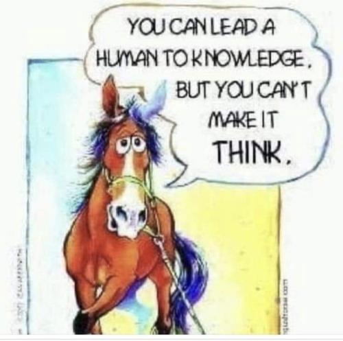 Screenshot_20240908_031656_Facebook