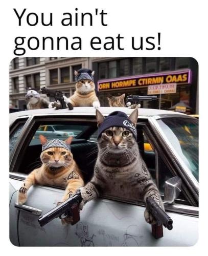 FB_IMG_1726336010612