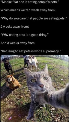 be9f2e0fa08b7f71 (1)