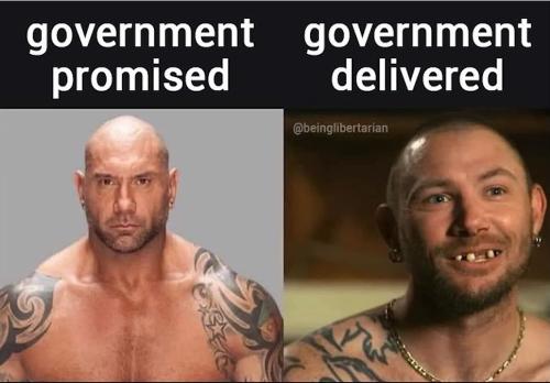 government