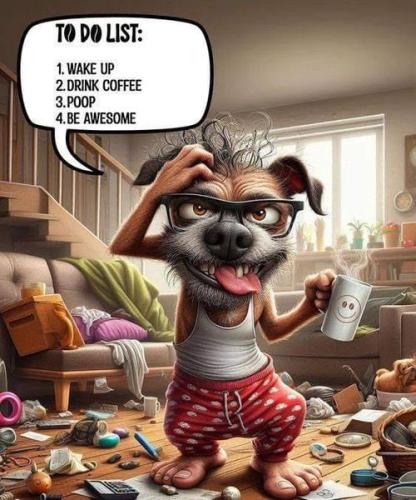 460358570_434741969620494_783182652795189299_n