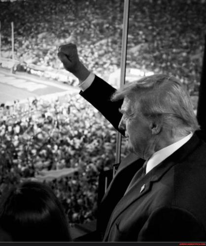 896df073e2329e3a9276bb371039b8479ef86a345155a5a18c76948796efcc52_1