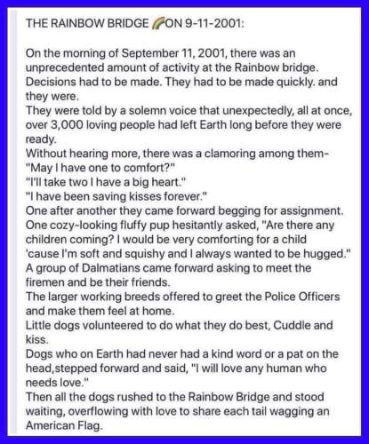 ED6700CF-4C09-41E6-A5CF-C830FC9A2740