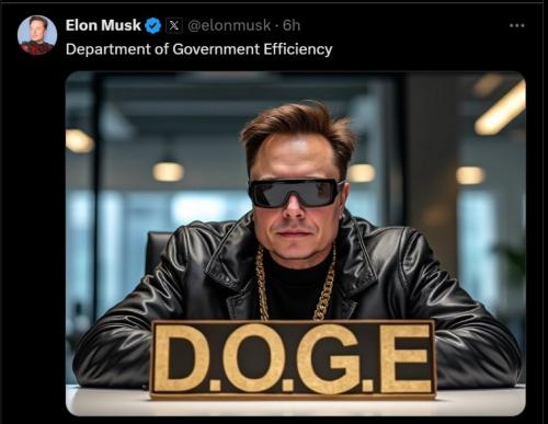 Musk 1