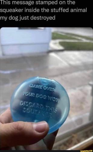 3875b67ba34ee492d7f3e5785edeebd9731fbff763b4c87e9c93d4490df23cd8_1