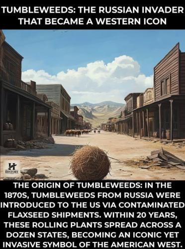 459411478_122135298698330721_7736914528400603566_n