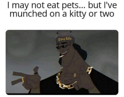 image_6559D9B3-21D0-4F88-B0C9-5F4F6E58BC0A