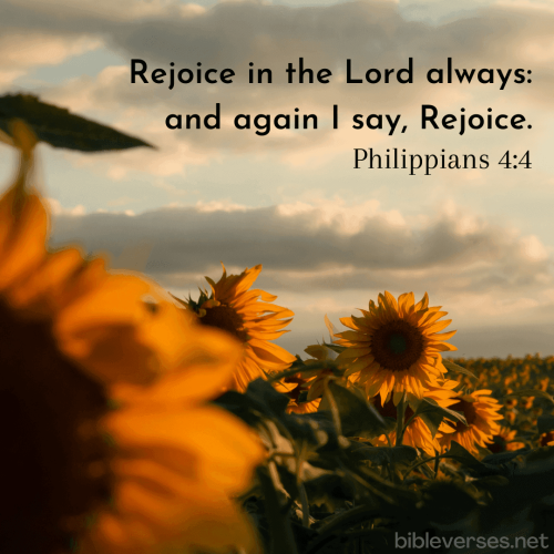 philippians-4-4