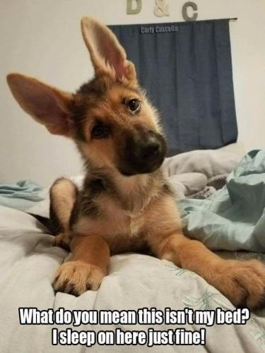 1761faace4a1fea1abf9d18e2a7fd2c6