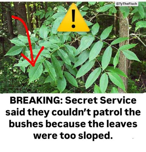 photo_2024-09-18_16-42-53