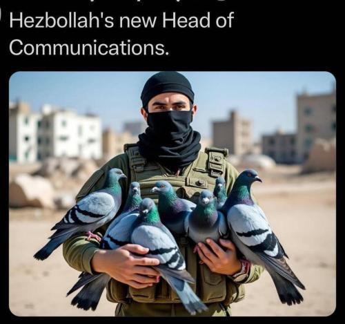 image_A78D1877-5E32-4E6B-B4DF-5189D924EB26