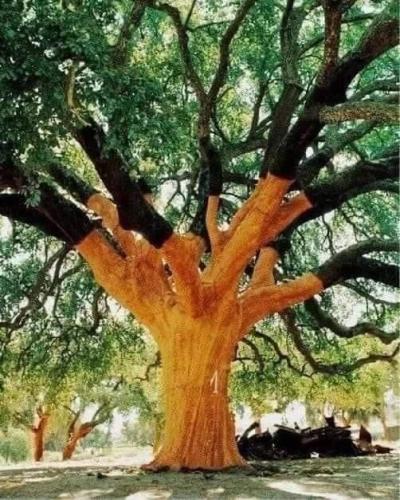 dc40f458-152d-4238-a05f-e52bc69891c3