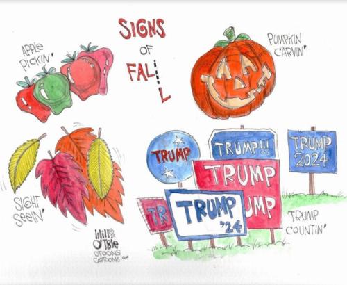 az3pksetguqrpk4ht4qy_800[1]