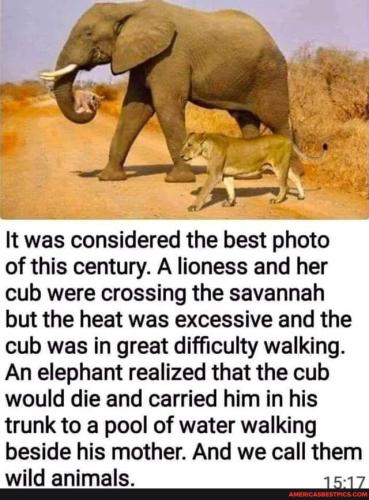 2104fadbc5229424e68e64c40004069c8b7cee136aa5a78b3b5b26062960ed4c_1