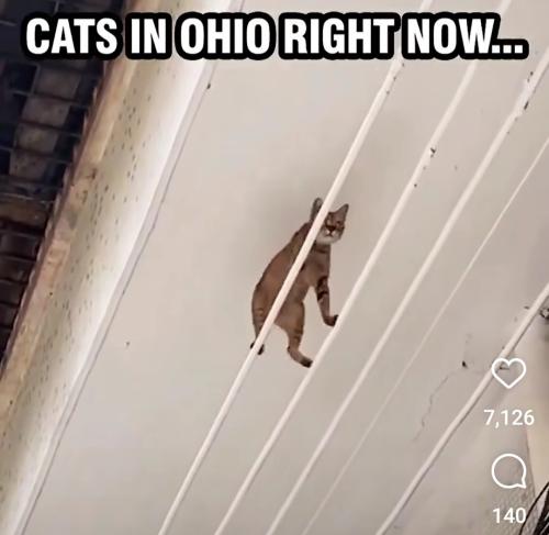 Screenshot_20240912_113252_Instagram