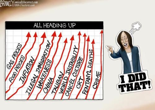 Branco-We-Did-It-Joe