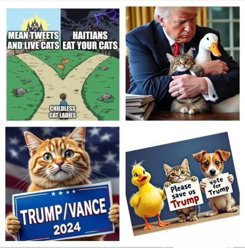 c5f9c1bb-6ffa-45ed-a52a-410c722f8ba3