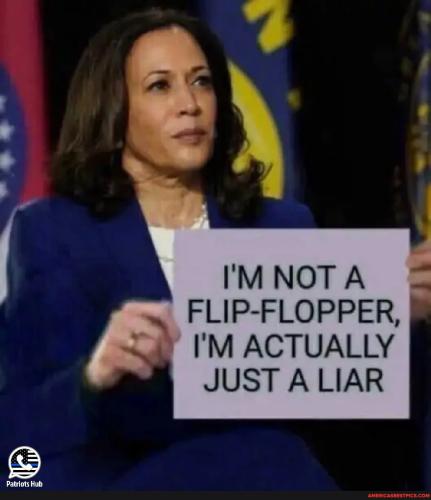 b3132ff36a47830fa80d9a7a72581196259d9ec8cbd2871b532f4dea00ea470d_1