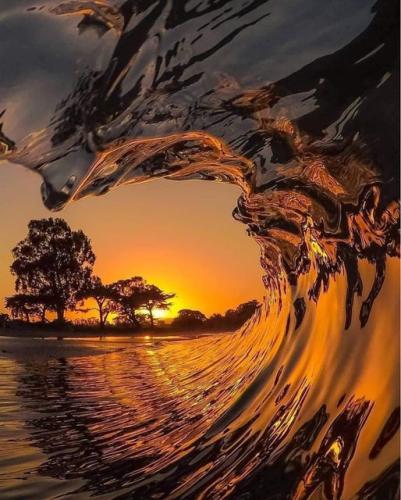 ,                             ,     ,