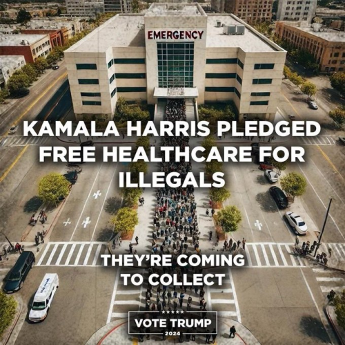 image_2024-09-02_083421382