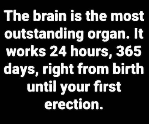 image_1915B2CA-5BCE-46F2-BD79-35702C4A8EA2