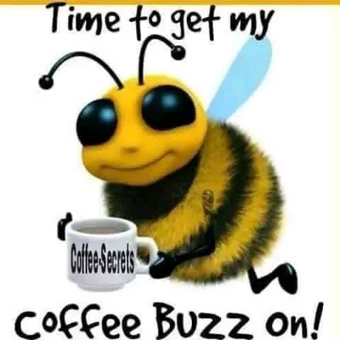 459376547_122168857274166036_6103020740995501851_n