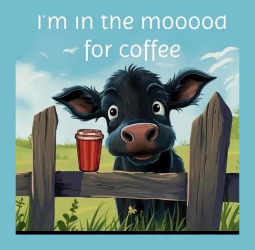 459307348_365356436647571_1670627491833390069_n