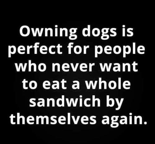 d7ba51ebd869c09c477ddc3c8fe5032b