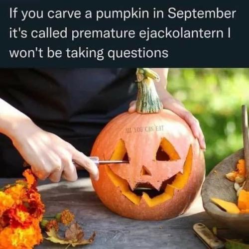 image_771CA1A5-5B58-45F3-88A0-248DBF4B8BA9