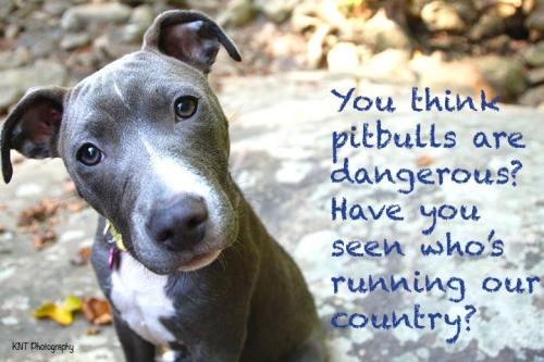 8589b1571aa38017f5a5e4c5b7db0720