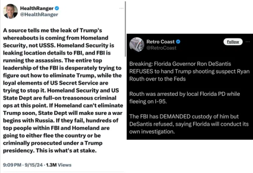 xephula_5dcbb70a25b7d47da675e670796e223a