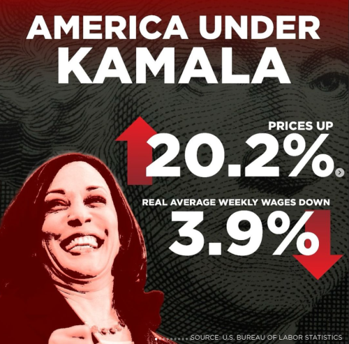 Screenshot 2024-08-19 103342