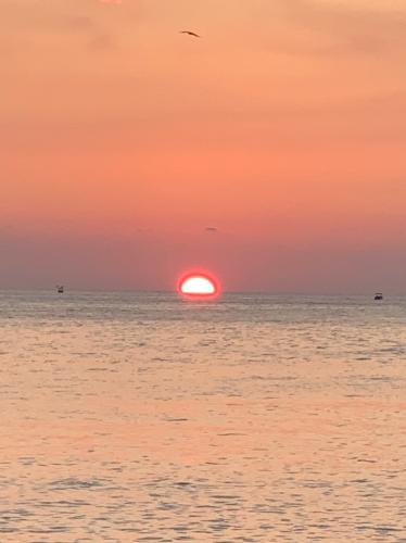 5349C66C-73C4-4D5F-84AA-EBF133DDA0FC