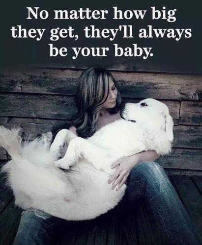 1ae12f7fdbdcb18a4e469811ab4cfa94