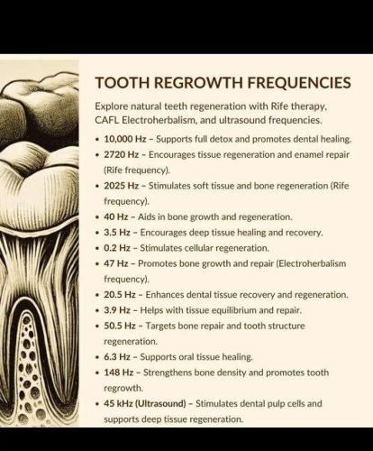 ,                          ,