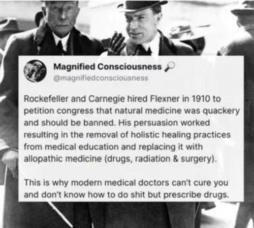 image_3C177681-2E92-418C-AAC0-35125BD81E64