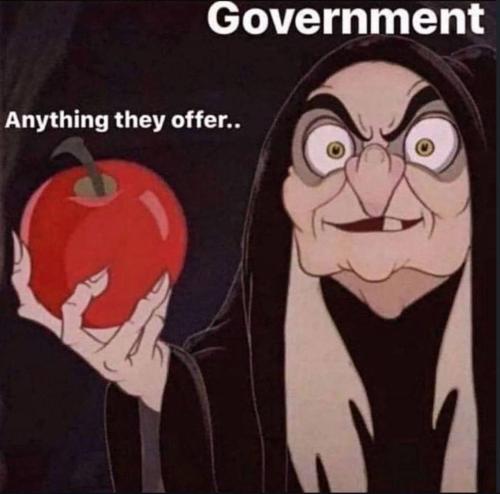 photo_2024-09-02_14-58-08