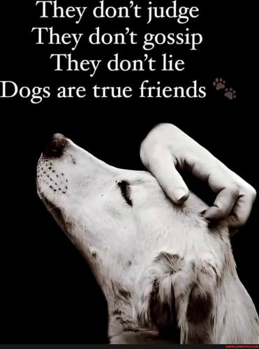 37f180f3b9319a664661b66c279c5058e2337c2fefb954f792049fe39c97b31b_1